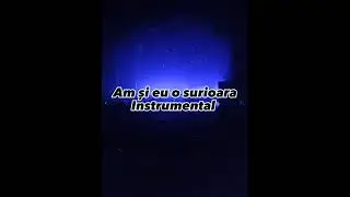 Am și eu o surioara karaoke