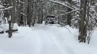 Rubitracks in the woods
