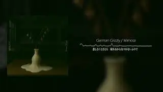 German Grizzly「ミモザ」Official Lyric Video