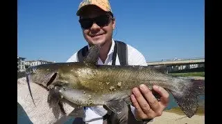 Florence, Italy Fishing/ Ep. 3