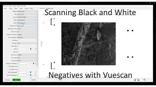 Scanning B+W Negatives with Vuescan