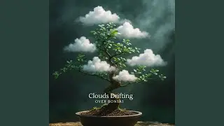 White Clouds