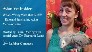 Avian Vet Insider 6: What’s Wrong With That Bird?!? Rare and Fascinating Avian Medicine Cases