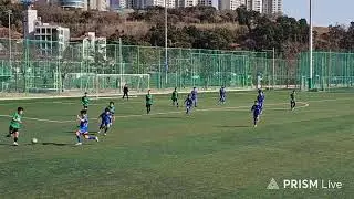 베리굿찰리 라이브 방송