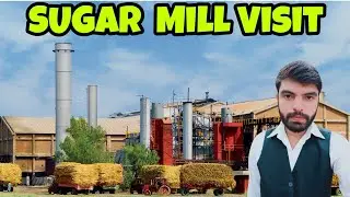 Sugar Mill Inside Visit | Sugar Mill Pakistan