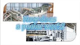 How does a veneer peeler work? rotary spindleless peeling lathe