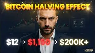 The Bitcoin Halving Effect — What History Says Happens Next
