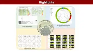 iMetaOmics | Chinese Erwinia amylovora strains genetic variations, plasmid diversity and ancestor