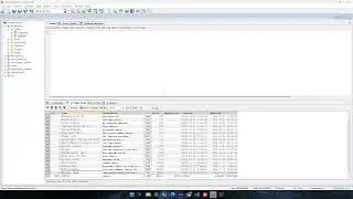 ACT1-MOD5-SIA1010-JFMG
