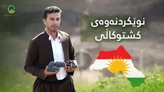 🟢چۆن پڕۆژە کشتوکاڵییەکەمان نوێ بکەینەوە تا قازانجێکی باشتر بکەین