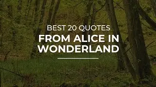 Best 20 Quotes from Alice In Wonderland | Daily Quotes | Quotes for Facebook | Inspirational Quotes