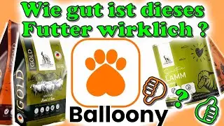 Balloony Hundefutter - Wie gut ist es wirklich? 🤔 / Hundefuttertest Balloony Hundefutter