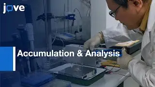 Accumulation & Analysis-Cuprous Ions In Copper Sulfate Plating Solution l Protocol Preview