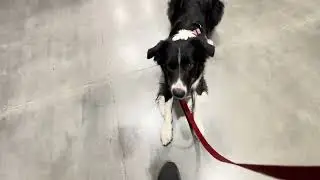 Working on the long down at Lowes