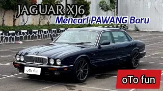 DIJUAL!! JAGUAR XJ6, MOBIL SUPER LANGKA DI INDONESIA INI, ADA DI SEMARANG !!! #oTofun #3 (sale)