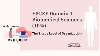 FPGEE Domain 1  The Tissue Level of Organization  Biomedical Sciences Explained
