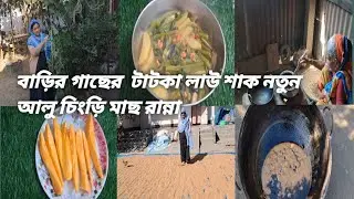 বাড়ির গাছের টাটকা লাউ শাক নতুন আলু চিংড়ি মাছ রান্না || Inaya ammus vlog 