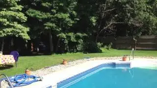 Butterfly's Last Stand - Ernie the Killer