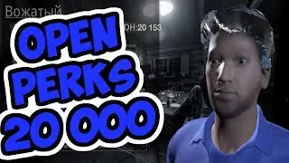 F13 OPEN PERKS 20 000 CP  после х2