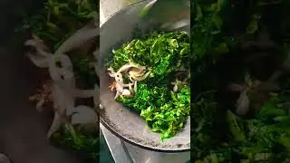 Testy saag
