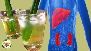 Get Rid of Toxins From Liver and Kidney! Using Pandan Leaves