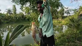 American Rohu vs. Desi Baits: Epic Catching Challenge in the Village!