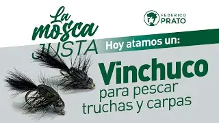 La Mosca Justa: atamos un 