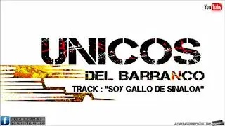 Soy Gallo De Sinaloa [En Vivo Morelos Chihuahua] .- Unicos Del Barranco