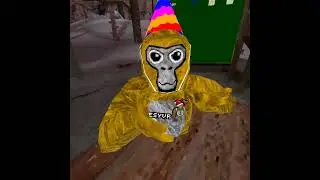 Gorrila tag ghost hunting (we found bot) 