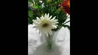 Thankful Celebration in a Box