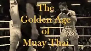 muay thai knock out fights
