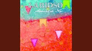 Salsa Brasileira