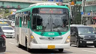 경기도 성남시 시내일반버스 241번 버스 주행영상