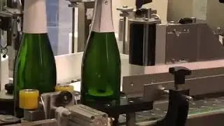 engarrafamento Champagne Ployez Jacquemart