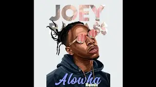 Joey Bada$$ - Alowha (J.OnDabeat Remix)