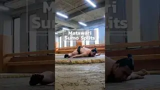 Sumo Wrestlers&rsquo; Incredible Bodies