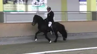 Sp&oacute;liant vom Lipperthof T1 Reiter: Uli Reber Trieb-Hallentrophy 2016