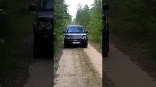 #landrover #discovery #природа #лес #бригада