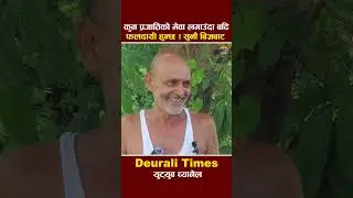 कुन प्रजातिको मेवा लगाउंदा बढि फलदायी हुन्छ । सुनौं बिज्ञको भनाई | Mewa Kheti Nepal