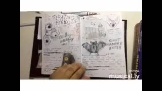 Diary 3 ( Dipper's diary from Gravity falls)