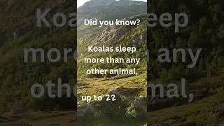 #nature #natureisamazing #naturecuriosity  #biodiversity