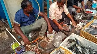 Mumbai#devnar Shivaji Nagar #fish market#pigeon #birds 
