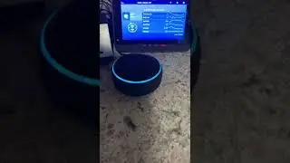 Amazon Alexa singing baby shark, first part
