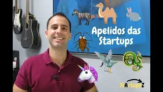 Apelidos das Startups - Unic&oacute;rnio, Zebra, Camelo, Drag&atilde;o, Barata, Hipogrifo, Coelho