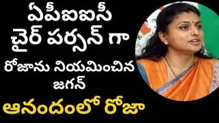 ROJA IS BEING APPOINTED AS APIIC CHAIRMAN