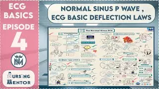 Normal Sinus P wave  ,ECG basic Deflection Laws and ECG Standardization ( Episode 4)