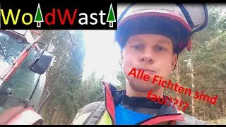Faules Holz mit Husqvarna 550XPG fällen