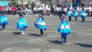 Toland Way ETK dance 2017