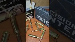 Soft Point vs Hornady ELD-X &ndash; What&rsquo;s the Difference?