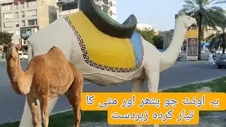 This camel, made of stone and clay, is amazing | Sark pr Awam ke Liye Lgaya